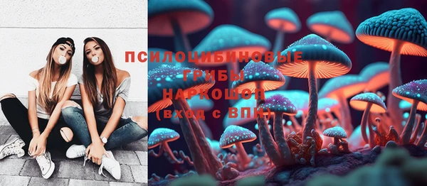 ГАЛЛЮЦИНОГЕННЫЕ ГРИБЫ Алексин