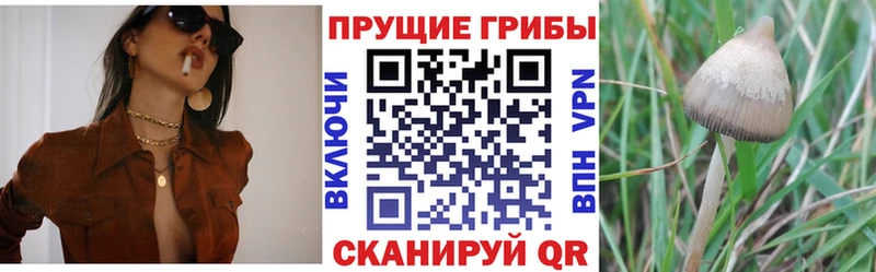 Псилоцибиновые грибы мухоморы Ялуторовск