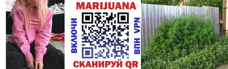 Бошки Шишки гибрид  что такое наркотик  Ялуторовск 